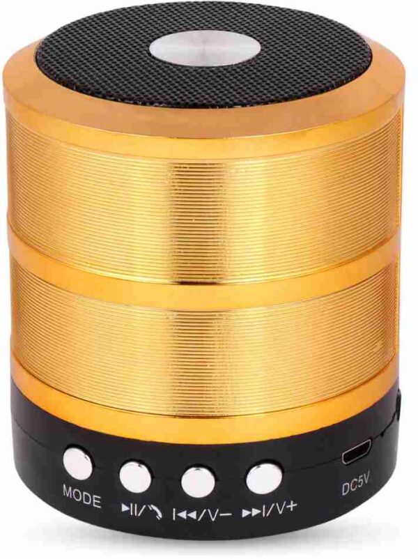 MZ-887 Mini Speaker